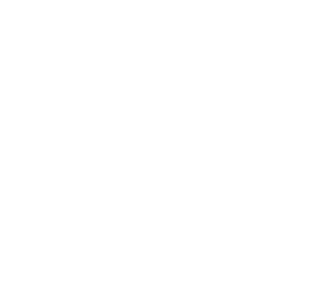 Illustration of a peccary and a bed