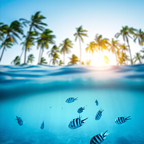half underwater, half palm trees on an Indian Ocean island.