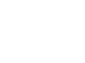 Toucan compared in size to a soccer ball