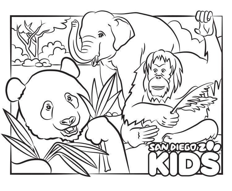 coloring page panda and friends  san diego zoo kids