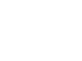 Swimming platypus next to an average soccer ball.