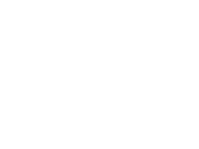 Rodrigues fruit bat next to an average sized soccer ball.