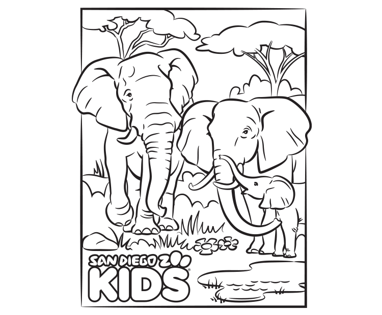 Coloring Page: Elephant Family | San Diego Zoo Kids