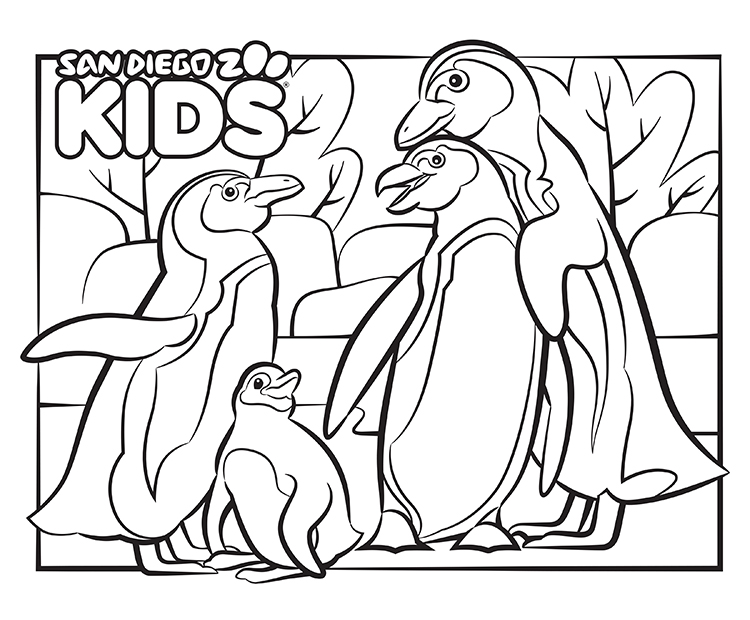Coloring Page: African Penguins | San Diego Zoo Kids