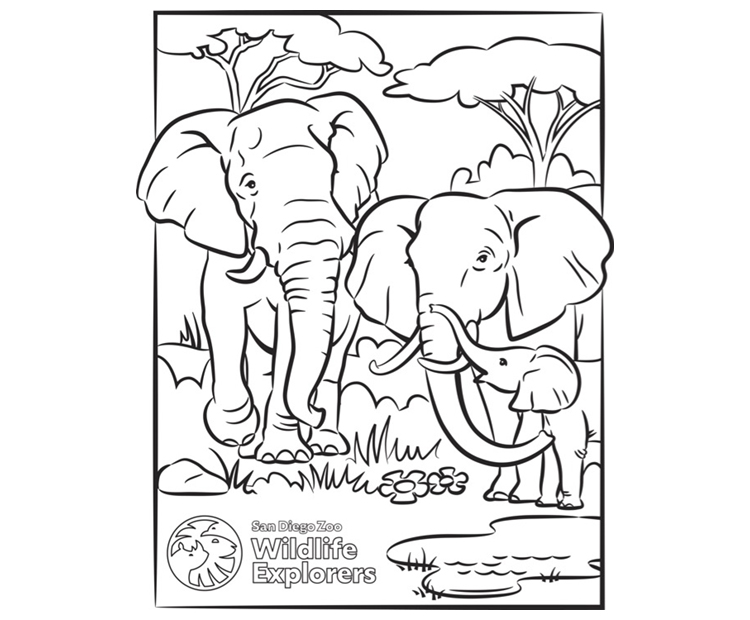 Black and white version of elephant coloring page.