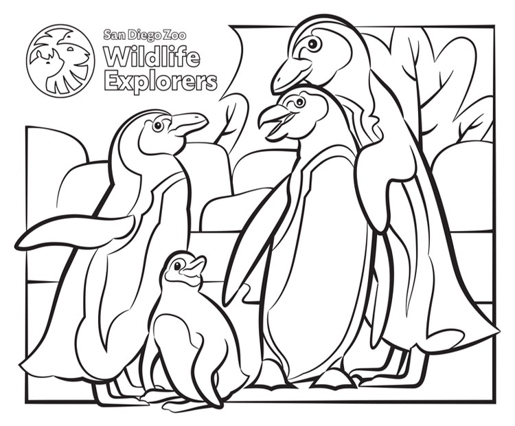 Penguin family coloring page