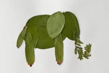 Leafy animal craft