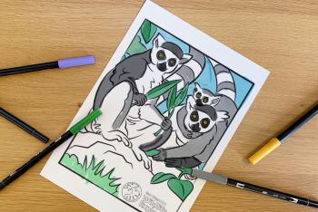 coloring page: lemurs